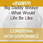 Big Daddy Weave - What Would Life Be Like cd musicale di Big Daddy Weave