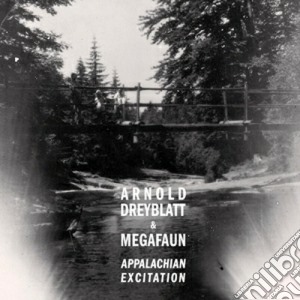Arnold Dreyblatt - Appalachian Excitation cd musicale di Arnold & Dreyblatt