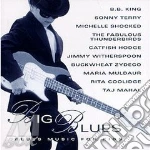 Blues music for kids - cd