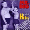 Mr. Big - Greatest Hits cd