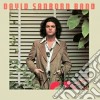 David Sanborn - Promise Me The Moon cd