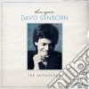 David Sanborn - Then Again: The David Sanborn Anthology (2 Cd) cd