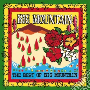 Big Mountain - Best Of cd musicale di Mountain Big