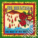 Big Mountain - Best Of cd