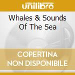 Whales & Sounds Of The Sea cd