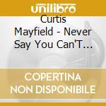 Curtis Mayfield - Never Say You Can'T Survive cd