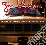 Gin Blossoms - New Miserable Experience cd