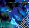 Janis Siegel - A Thousand Beautiful Things cd