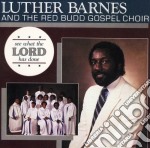 Luther Barnes & The Red Budd Gospel Choir - See What Lord Has Done