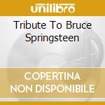Tribute To Bruce Springsteen cd
