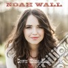 Noah Wall - Down Home Blues cd