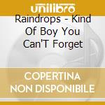 Raindrops - Kind Of Boy You Can'T Forget cd
