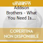 Addison Brothers - What You Need Is Love cd