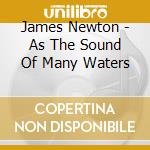James Newton - As The Sound Of Many Waters