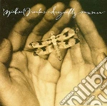 Michael Franks - Dragonfly Summer cd