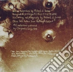 Aphex Twin - Vol. 2-Selected Ambient Works cd