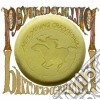Neil Young & Crazy Horse - Psychedelic Pill (2 Cd) cd