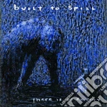 Built To Spill - There Is No Enemy cd