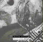 David Sylvian - Secrets Of The Beehive cd
