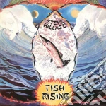 Steve Hillage - Fish Rising cd