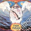 Steve Hillage - Fish Rising cd