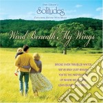 Dan Gibson - Wind Beneath My Wings