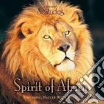 Ron Allen - Spirit Of Africa cd