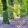 Dan Gibson's Solitudes - Woodland Harp cd