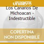 Los Canarios De Michoacan - Indestructible