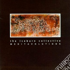 Meditavolutions cd musicale di Collective Iceburn