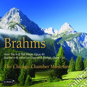 Chicago Chamber Musicians - Johannes Brahms cd musicale di Chicago Chamber Musicians