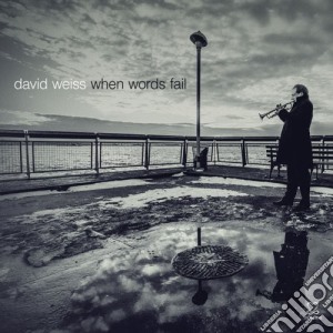David Weiss - When Words Fail cd musicale di David Weiss