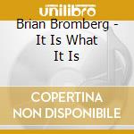 Brian Bromberg - It Is What It Is cd