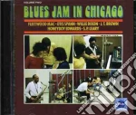 Fleetwood Mac - Blues Jam In Chicago 2 cd