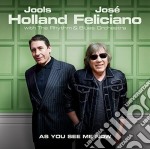 (LP Vinile) Jools Holland & Jose' Feliciano - As You See Me Now
