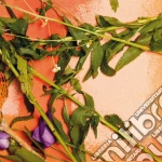 Denai Moore - We Used To Bloom cd