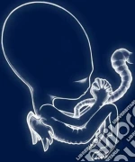 (LP Vinile) Sigur Ros - Agaetis Byrjun (2 Lp) vinile