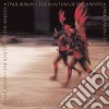 (LP Vinile) Paul Simon - Rhythn Of The Saints cd