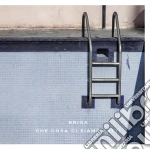 (LP Vinile) Briga - Che Cosa Ci Siamo Fatti vinile