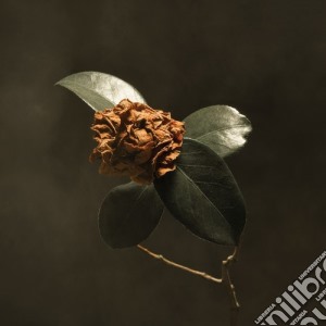 St Paul & The Broken Bones - Young Sick Camellia cd musicale di St Paul & The Broken Bones