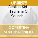 Aeolian Kid - Tsunami Of Sound: Momentous Monster Mailman Jam cd