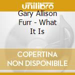 Gary Allison Furr - What It Is cd