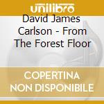 David James Carlson - From The Forest Floor cd