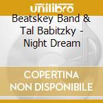 Beatskey Band & Tal Babitzky - Night Dream cd