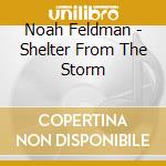 Noah Feldman - Shelter From The Storm cd