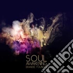 Brandee Younger - Soul Awakening cd