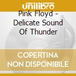 Pink Floyd - Delicate Sound Of Thunder cd