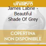 James Labrie - Beautiful Shade Of Grey cd