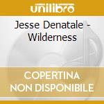 Jesse Denatale - Wilderness cd