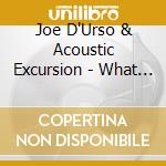 Joe D'Urso & Acoustic Excursion - What Would Pete Do? cd musicale